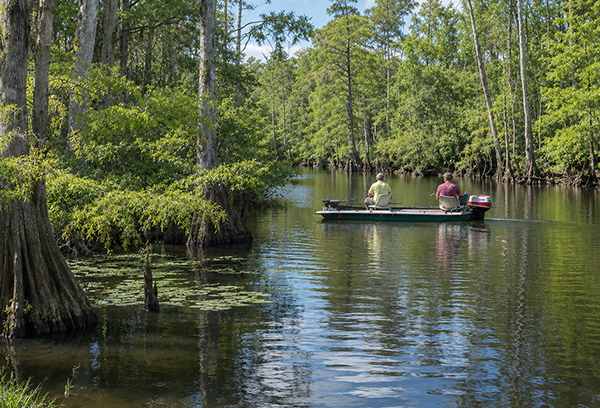 CANTONMENT 600X408 600 alt